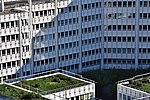 Kreis Ahrweiler startet Förderprogramm für Dach- und Fassadenbegrünungen