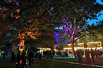 Lahneck Live in den Rheinanlagen: Die Programmübersicht für den Samstag