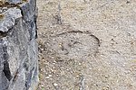 Wer klaut einen Mühlstein?