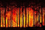 Symbolbild Waldbrand