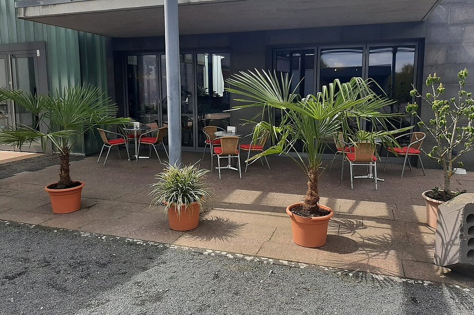 Die Erlebniswelten Grubenfeld im Frühling kennenlernen