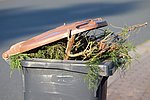 Symbolbild Pixabay