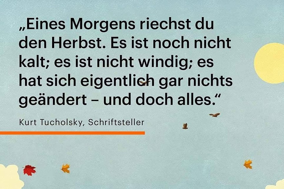 Ich hab Bock auf Federweißen und Zwiebelkuchen, Drachen steigen zu lassen und bunte Blätter und Kastanien zu sammeln, herbstlich zu dekorieren und Harry Potter zu gucken.