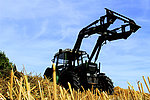 Symbolbild Landwirtschaft
