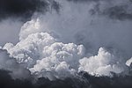 Wetterupdate für Rheinland-Pfalz: Sturmböen und wechselhaftes Wetter voraus