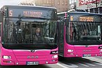 koveb: Erweitertes Nachtbus-Angebot vor den Feiertagen im Mai und Juni: