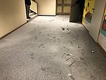 Sachbeschädigung und Hausfriedensbruch am Heisenberg-Gymnasium Neuwied