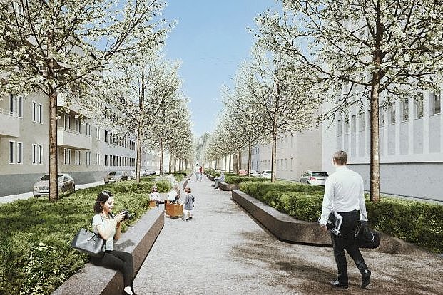Bei der Stadtratssitzung am Freitag soll endgültig über die Entfernung der 52 gesunden Bäume entschieden werden