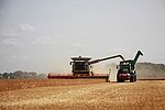 Symbolbild Landwirtschaft
