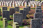 Nach über 77 Jahren: Klärung eines vermissten Kriegsschicksal