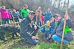 Walnussbäume im Bopparder Hochzeits- und Kinderwald