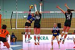 1. Volleyball-Bundesliga: VC Neuwied unterliegt wieder im Kellerduell