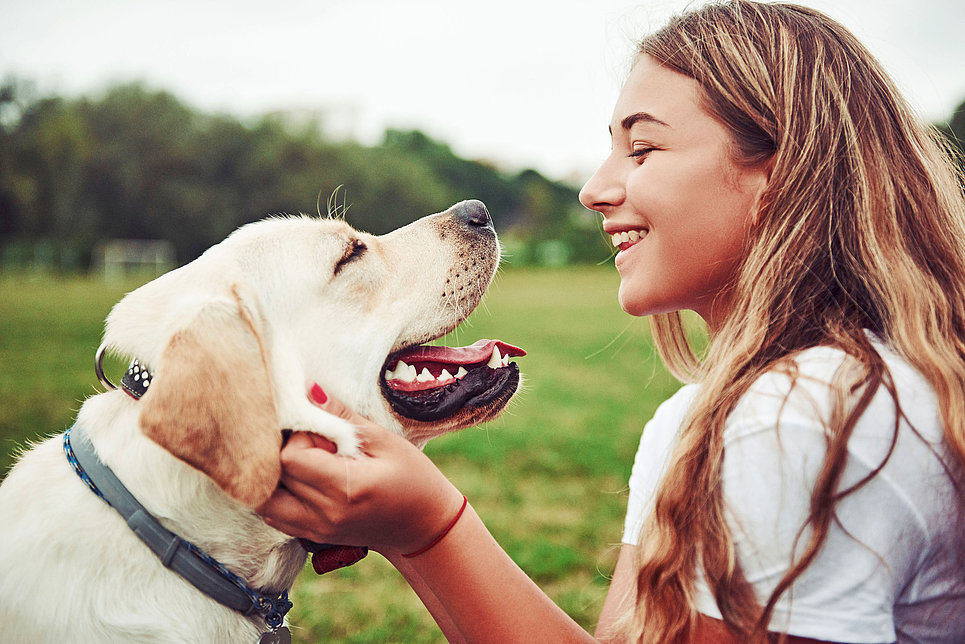 Verdauungsbeschwerden bei Hunden: auf Futter achten
