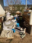 Bienen-AG der Schillerschule Lahnstein: „Fernsehschauen“ mal anders
